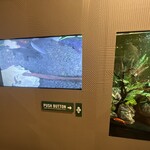 うなぎ四代目菊川 - 