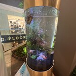 うなぎ四代目菊川 - 