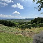 レストラン・サン・クゼール - 