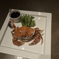 COLONIAL BEACH 横浜ハンマーヘッド - 