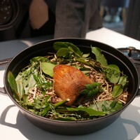 Plaiga TOKYO - 