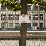 JUST BAKED Popular Potatoes - 樹木剪定のためここに駐車しないでくださいとの表示