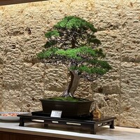 まとい 銀座 - 