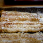 かぶと - 天然鰻（青森産）白焼き