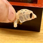 酒肴 こだるま - 