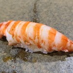 鮨匠 のむら - ⑱車海老(鹿児島県坊津産)
      産卵は初夏～初秋、旬は初夏～初秋、寿命1年
      天然は朱色のドットに濁りがありません
      アツアツの茹で立てその場で剥いて握って下さいますので、濃厚な旨みと甘さが際立ちます