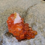 鮨匠 のむら - ㉕筋子(北海道産)
      昨年の筋子を業務用の冷凍庫で-60℃で瞬間冷凍
      元々は接岸する前の沖合い白鮭の筋子をのむらオリジナル醤油で漬けてます
      お客さんからのリクエストが多いため通年出しているそう