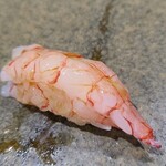 鮨匠 のむら - ⑰波管髭海老【ナミクダヒゲエビ】(鹿児島県錦江湾産、210m)
      産卵は夏～秋、旬も夏～秋だか通年味はあまり落ちない
      ご当地のスペシャルなネタで、甘海老よりも甘く複雑なコクと海老特有の旨みがあります