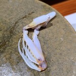 鮨匠 のむら - ㉑クリスタル蝦蛄の爪(鹿児島県出水産)
      こちらのしゃこは砂地に棲むため非常にクリアな色と味わいがあります
      蝦蛄で一番甘い部分、蟹の爪ような濃い味ではなく、クリアな甘さ