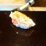 鮨 三心 - 車海老(熊本県天草産)