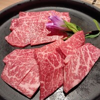 日本焼肉はせ川 表参道店 - 