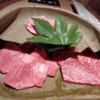 日本焼肉はせ川 表参道店 - 