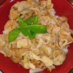 花水木 - ネギ塩たれ焼肉丼