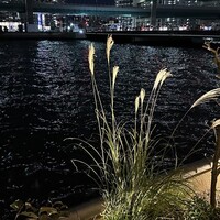 新三浦 博多本店 - 