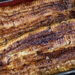 わたべ - 特上うな重