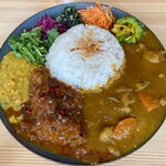 ゴロンドリーナ - カレー2種盛り（赤辛ポークスペアリブ・学校のチキンカレー）