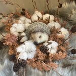 ハリネズミ珈琲店 - 