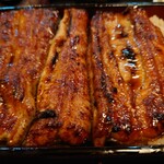 うな善 - 特上うな重
