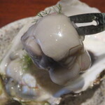 SAISON - あっさりと。