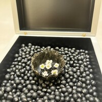 タカヤマ - 