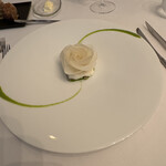 UNE IMMERSION - カブとアオリイカ