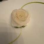 UNE IMMERSION - カブとアオリイカ