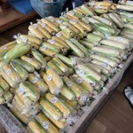 メルカートいちかわ - 開店直後のとうもろこし売り場