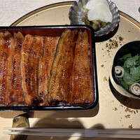 うなぎ 目白ぞろ芽 - 