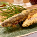 穴子料理と地酒 浅草 川井 - 