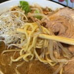 菊壱 - ちぢれ麺　