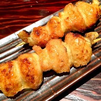 鳥ばか一代 - 