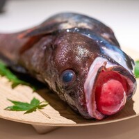 レストラン オオツ - 2024.8 那珂湊産根本兄弟のドンコ（エゾイソアイナメ）