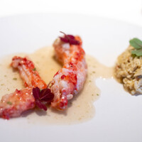 レストラン オオツ - 2024.8 根室産脱皮タラバガニ脚肉 腹身の蟹味噌和え 山椒のソース