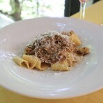 トラットリア ペルバッコ - パッパルデッレ ホロホロ鳥とタモギダケのラグーソース