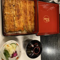 鰻割烹 伊豆栄 本店 - 鰻重　梅　ひきで
