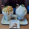 柿葉茶専門店SOUSUKE byほうせき箱
