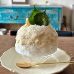 ヨリドコロヒヨリ - 