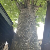 リストランテASO - 