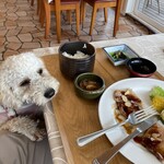 Restaurant&Pension Hot Dog