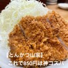 とんかつ山家 上野店