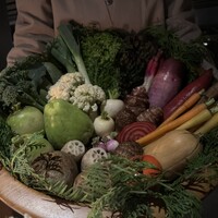 レフェルヴェソンス - 