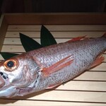 のどぐろ専門 銀座中俣 極 - 