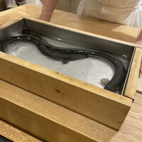 三宅輝 - 
