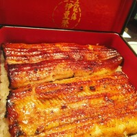鰻割烹 伊豆栄 本店 - 