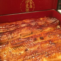 鰻割烹 伊豆栄 本店 - 