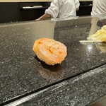 寿司・割烹 鈴政 - 甘海老