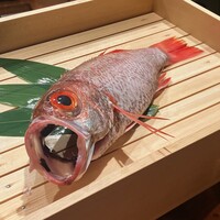のどぐろ専門 銀座中俣 極 - 