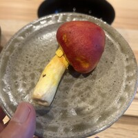 柚木元 - 