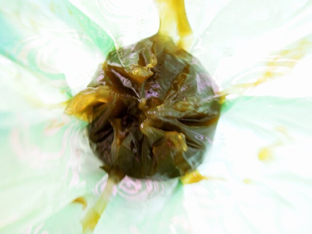 Mochibun Sohonten Mochiya Monzo No Ten photo 5