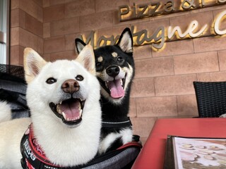 TRATTORIA Montagne Cucina